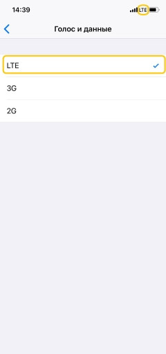 Step 5
